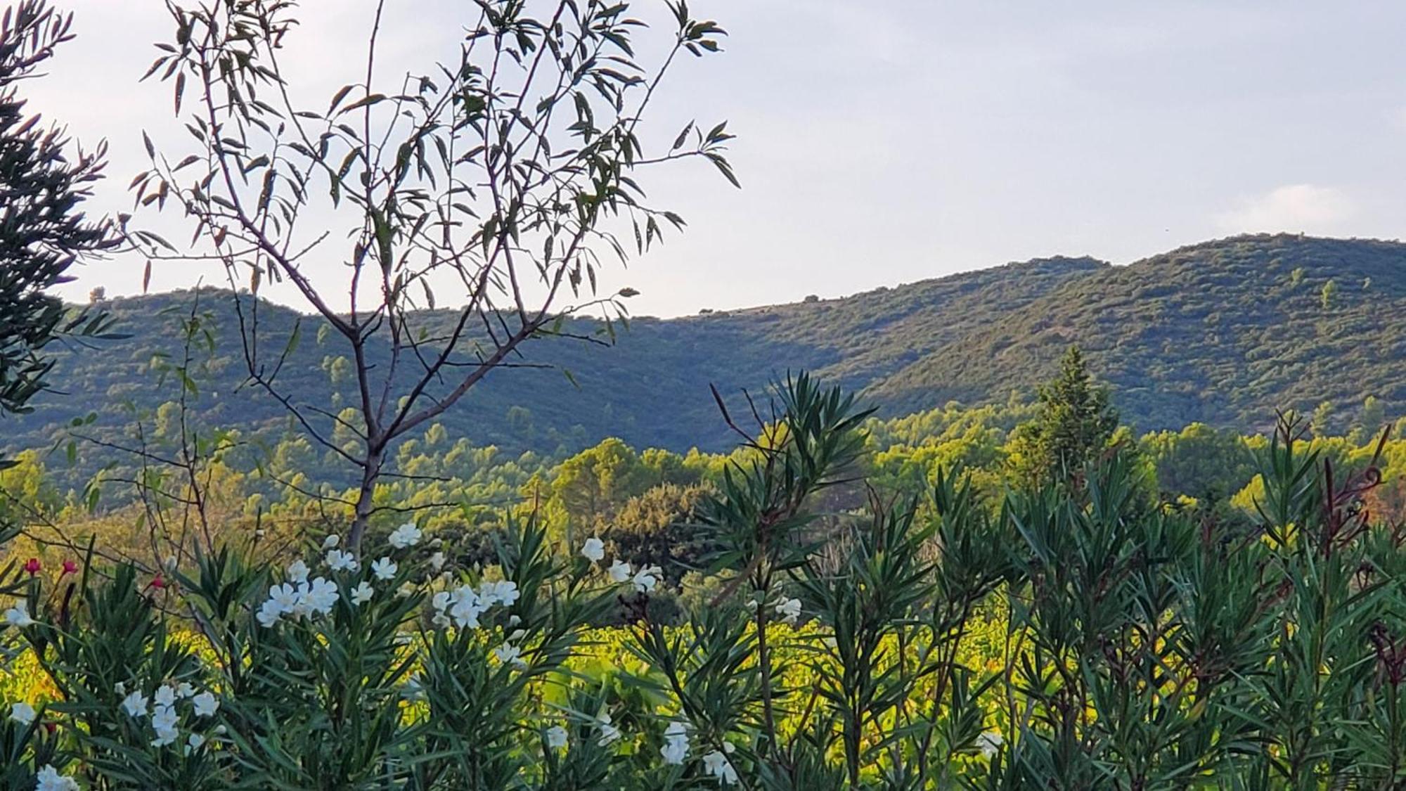 Reve En Luberon Villa Lauris Exterior photo